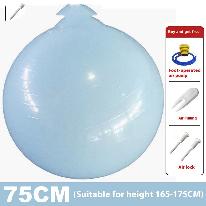 Yoga Ball Fitness